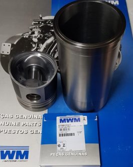 Conjunto Mwm Turbo D229 4 Y 6 Cilindros Aros Originales