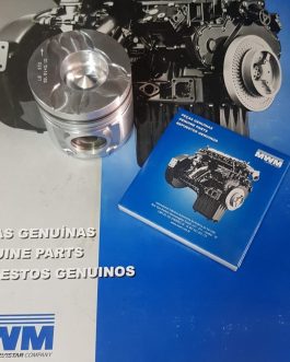 Subconjunto Gm Silverado – F100 Mwm 6.07 Tca Aros Originales